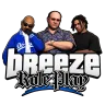 Breeze Roleplay | Development FiveM sunucu ikonu