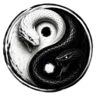 Yin Yang Rp FiveM sunucu ikonu