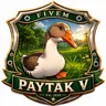 PAYTAK V BETA FiveM sunucu ikonu