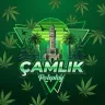 Çamlık Roleplay Sezon 1 FiveM sunucu ikonu